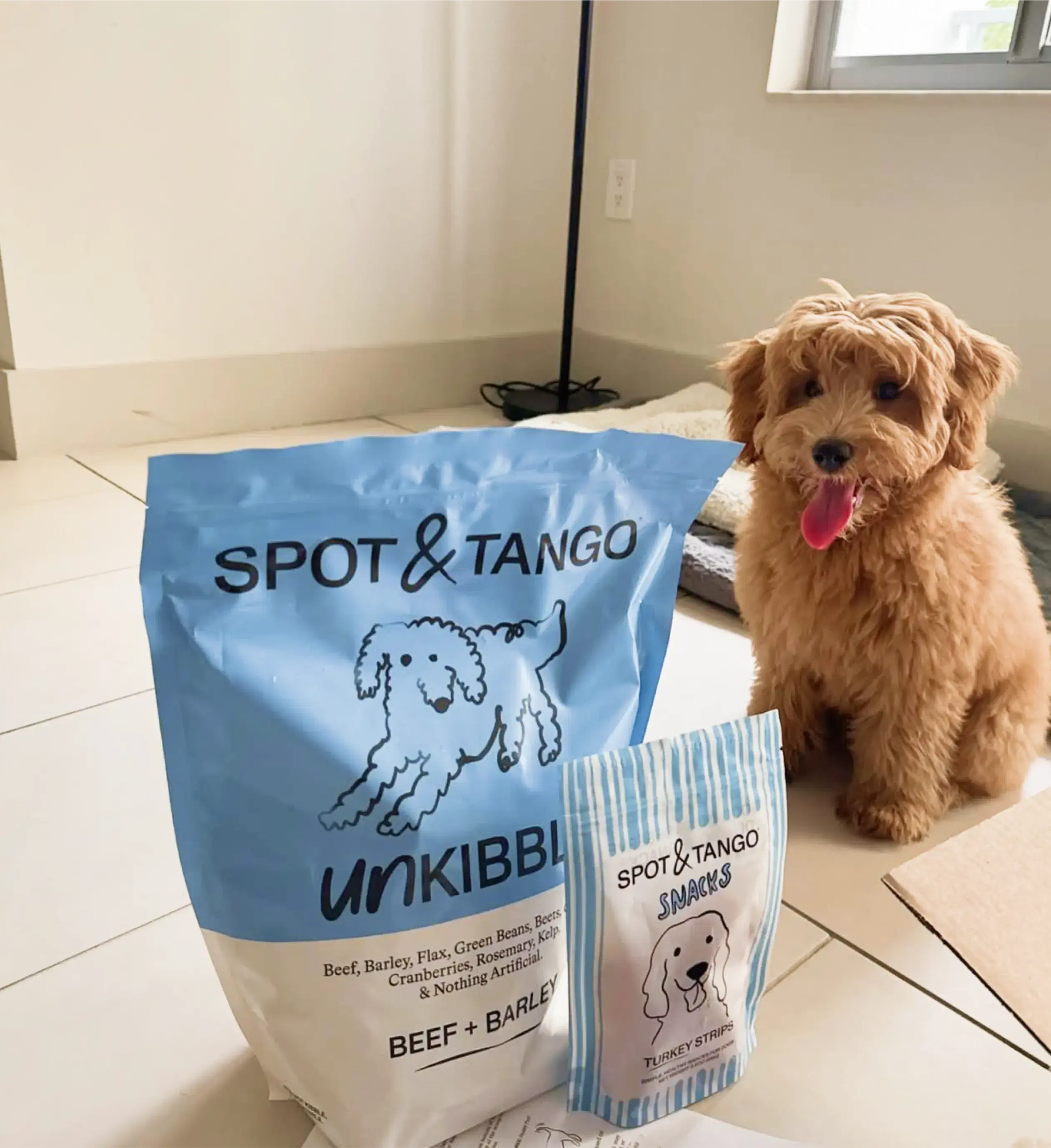 @TUCKERS_LITTLE_WORLD