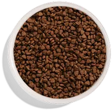 Kibble bowl